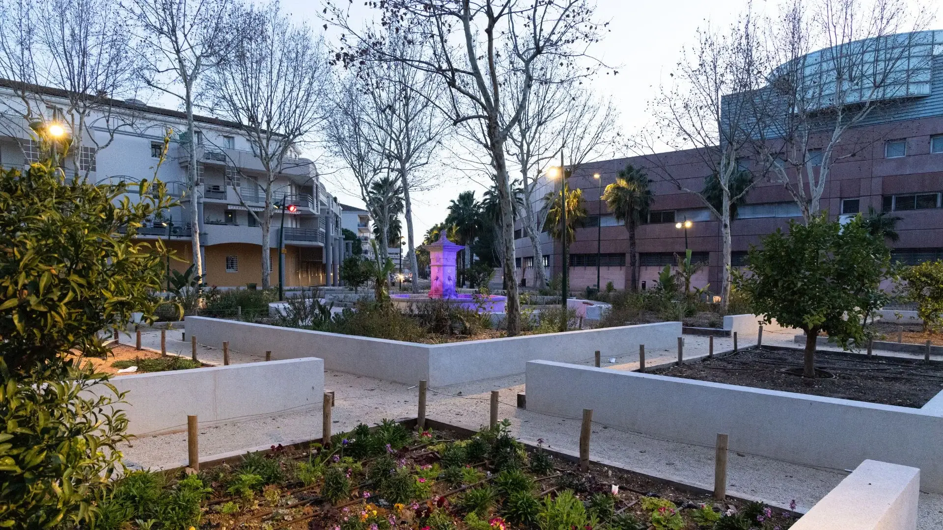 Rénovation de l’éclairage électrique place Tomasini à La Garde
